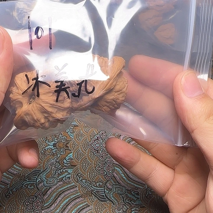 s***g我的小可爱小可爱