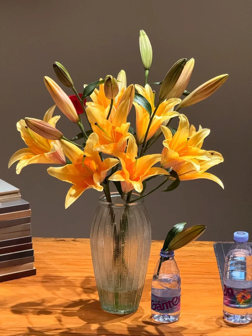 晚霞香水百合，一单包邮！