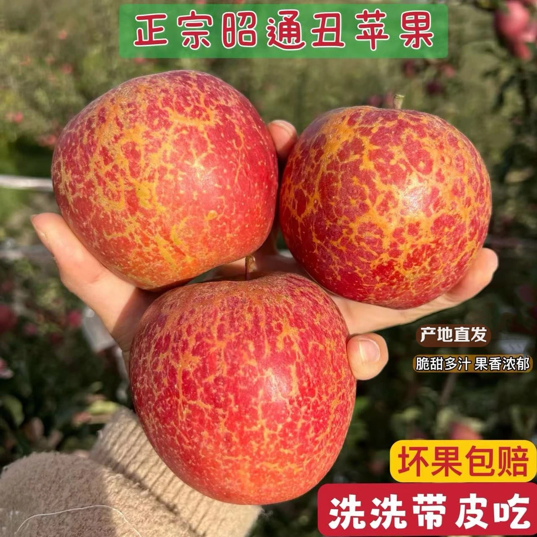 正宗云南昭通苹果水果丑苹果脆甜多汁产地直发5斤整箱包邮商品图