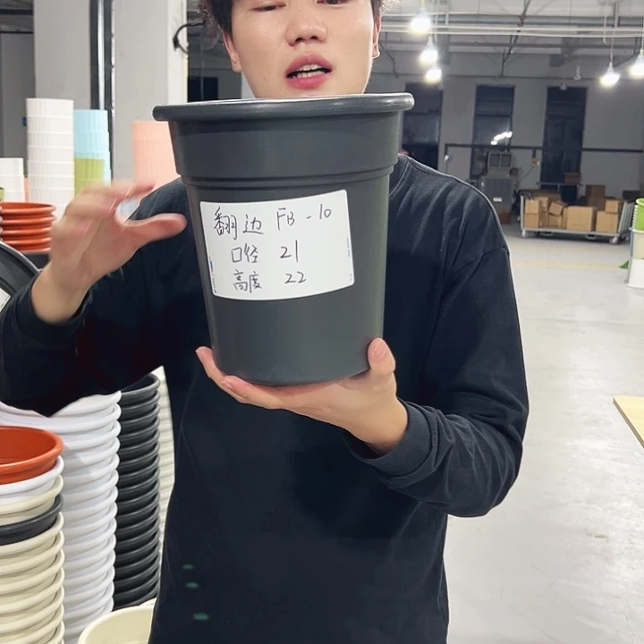 翻边口21高22混色6支无托
