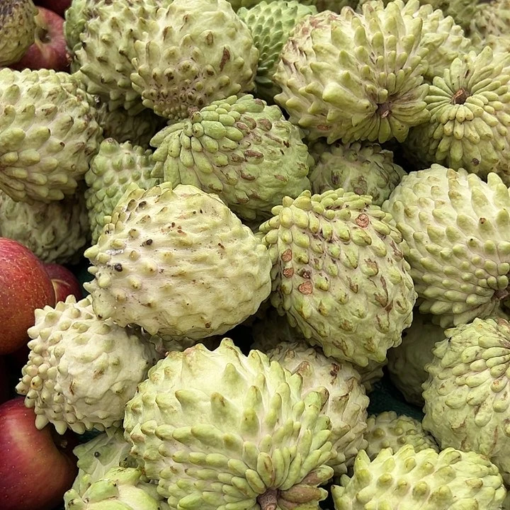 中国大陆释迦果5斤