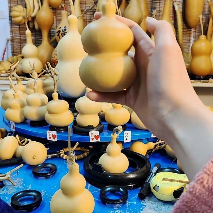 向*他他他他他他他他他他