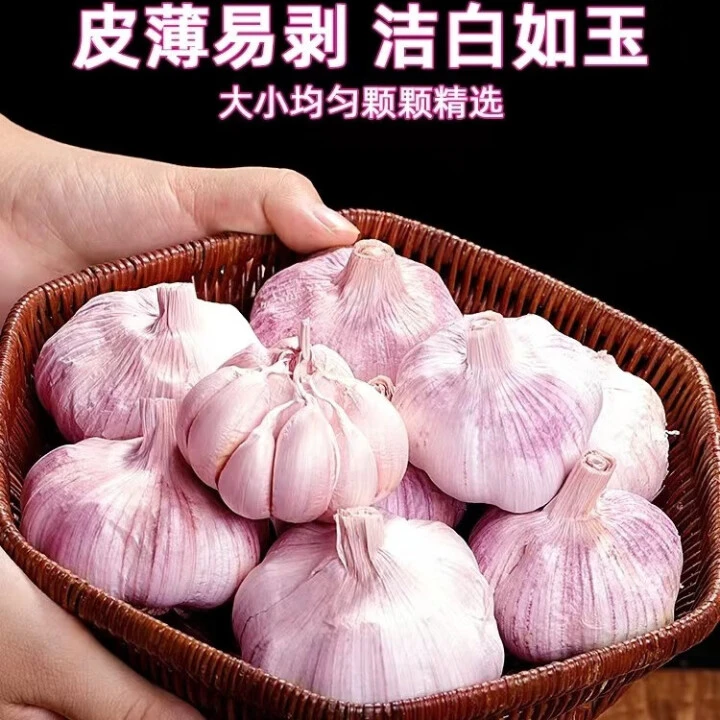 拍五斤赠两斤2025新干蒜紫白皮大蒜干蒜香味十足产地源头直发干蒜