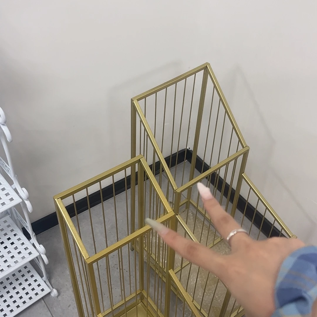 孤品给力炸炸炸炸炸