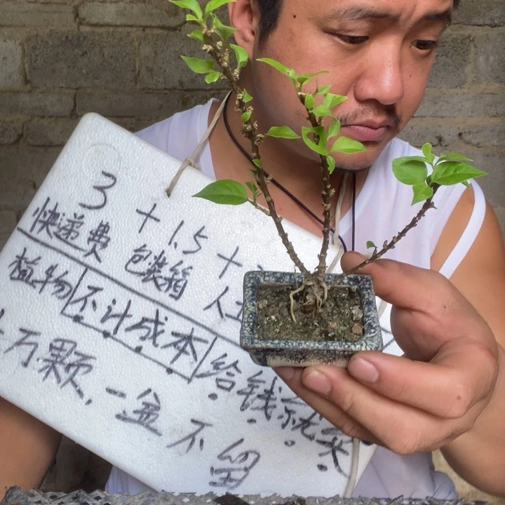 退款拉黑一物一拍364