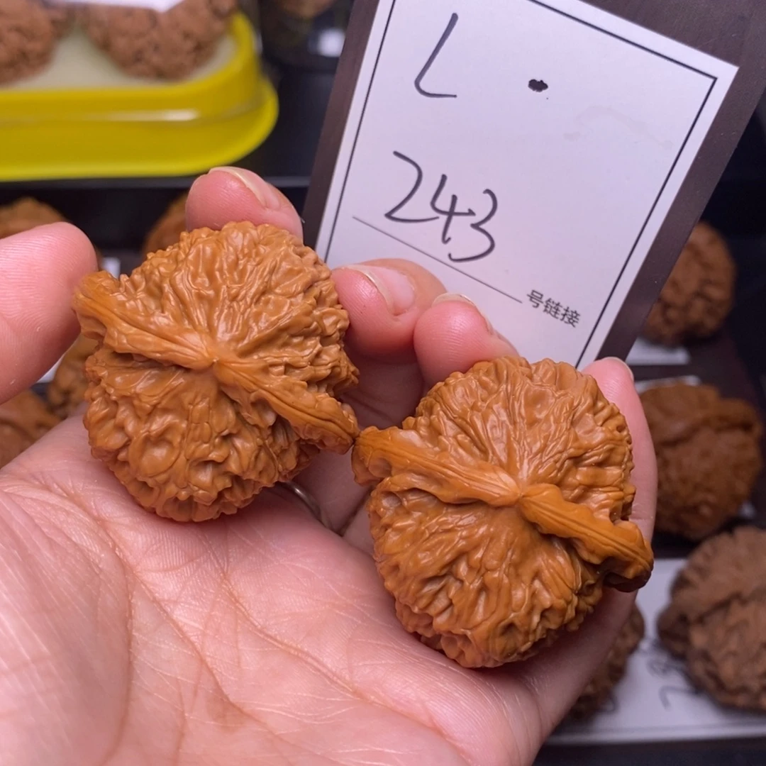 把件文玩核桃40白狮子243号