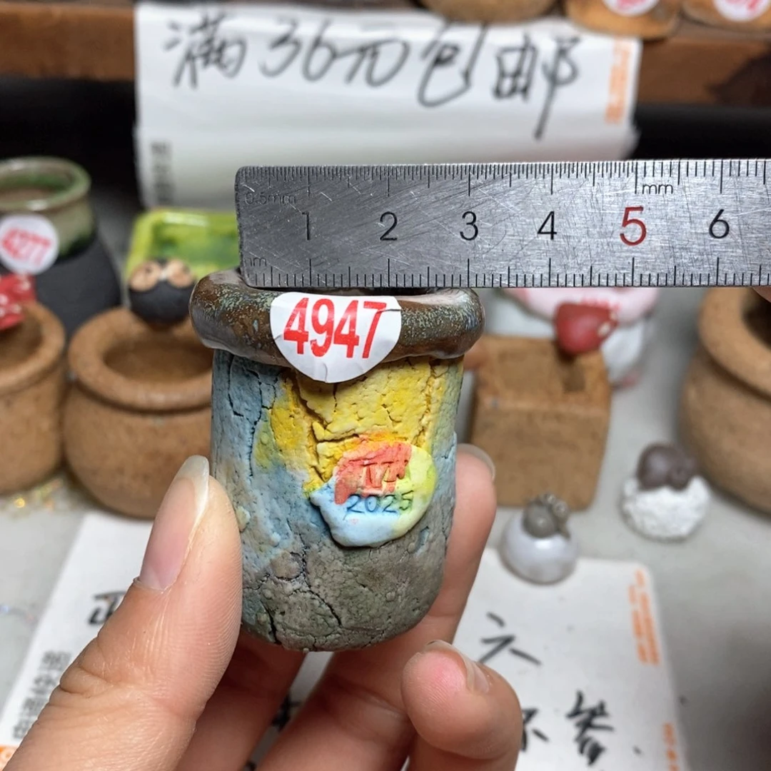 红陶拍5送一个小