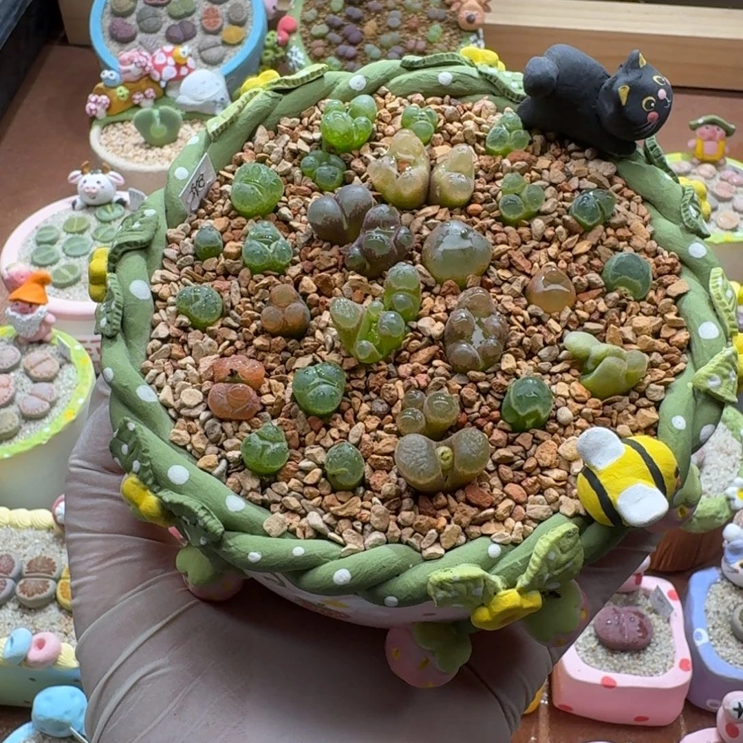 鲸***喜1126-08连盆带花肉锥怪兽