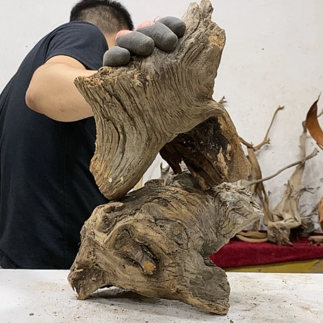 【闪购商品】柏木艺****销我们都是好孩子