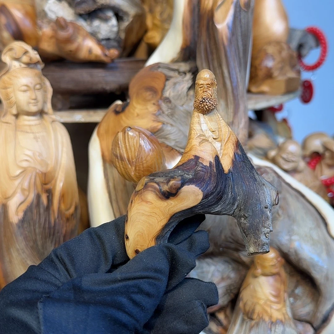 柏木（崖柏）66666666