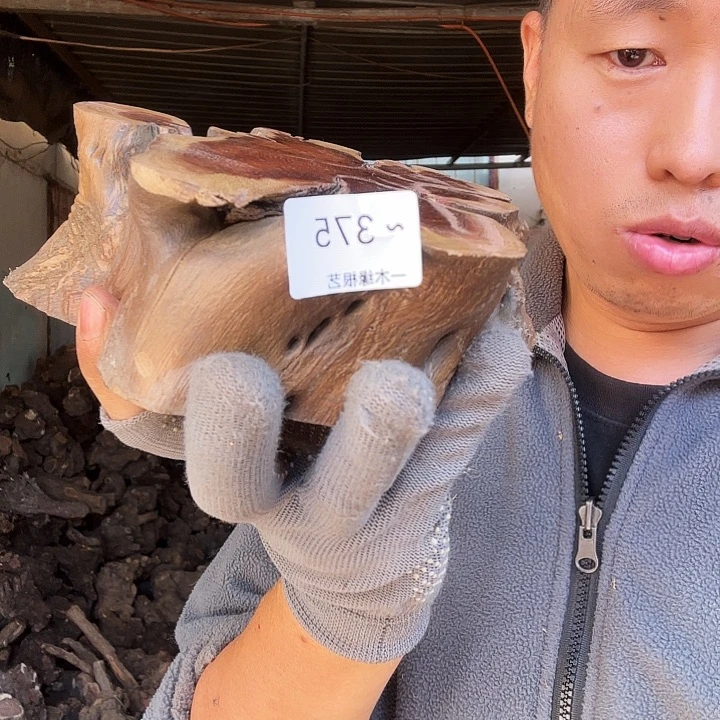 *****无花朵0000000000375