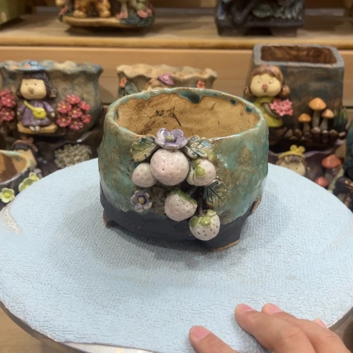 陶然多肉花盆百搭