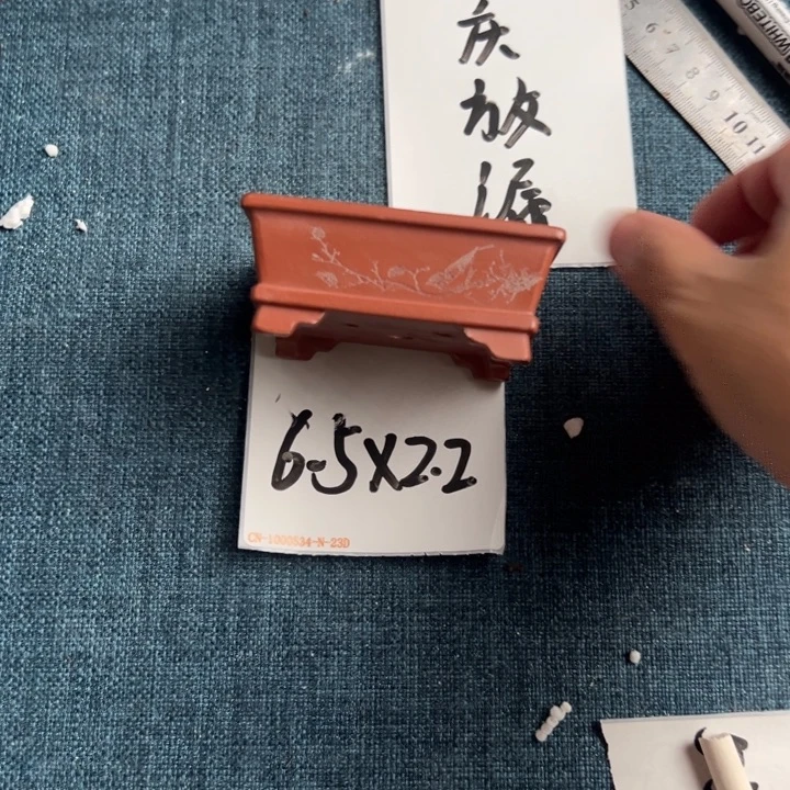 呜呜呜太好看太好看