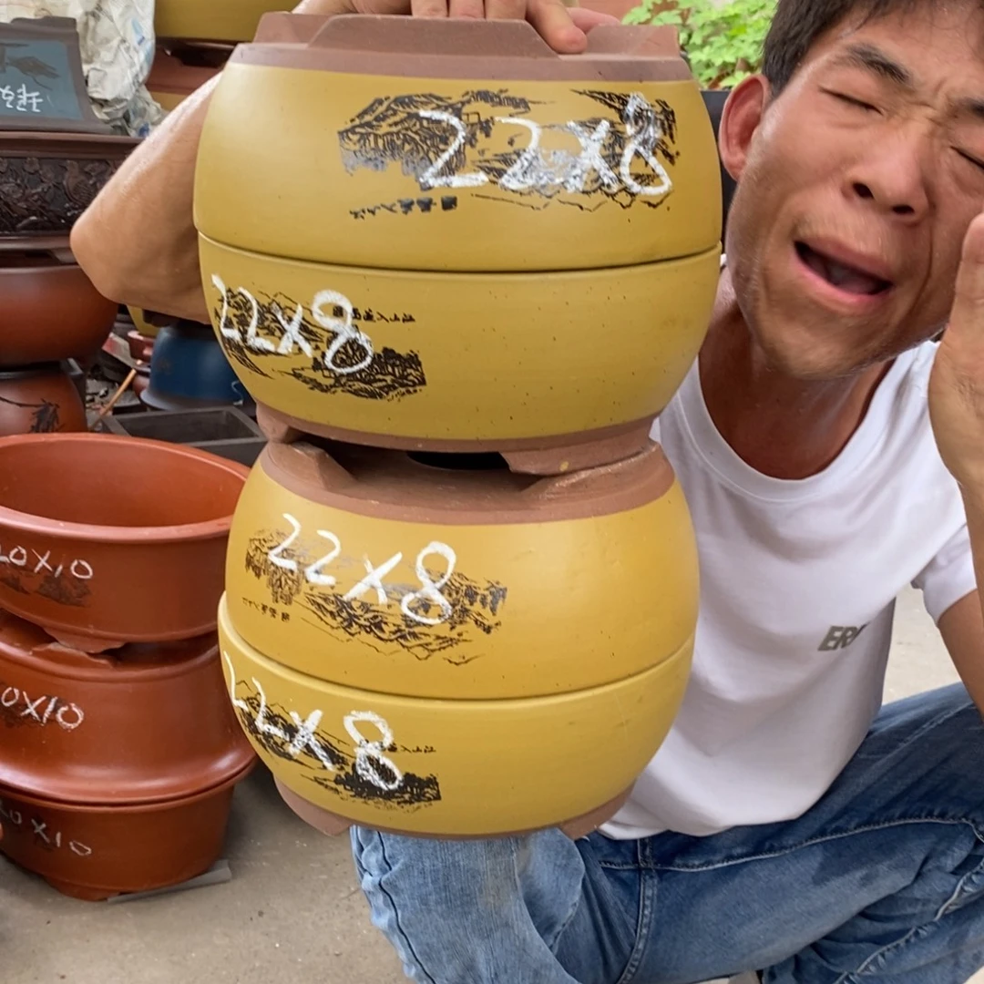 紫砂紫砂紫砂紫砂