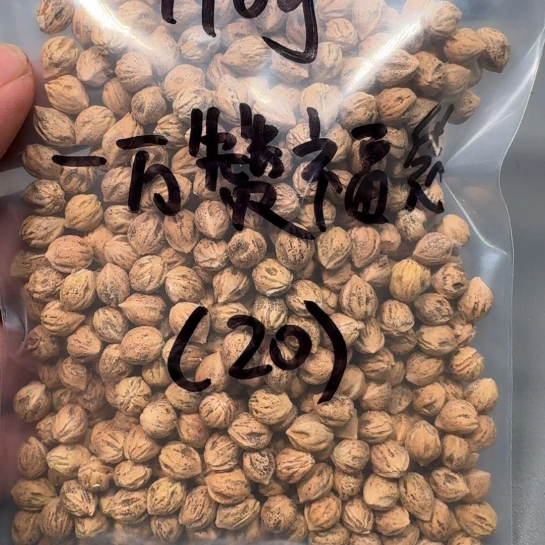 吊坠柏香籽/百香籽时**作
