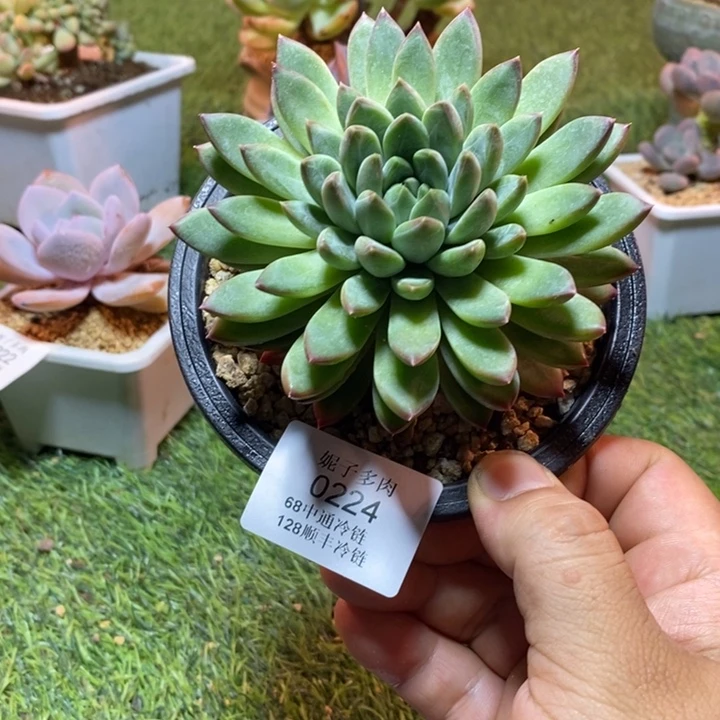 0224啊啊啊啊啊啊啊啊啊啊