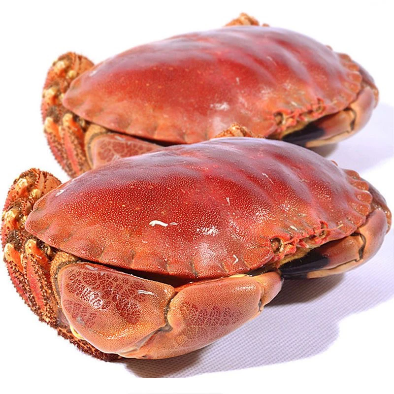 【东三省包邮】冰鲜面包蟹 2只（2.5斤左右）