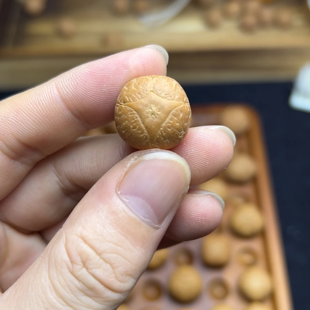 手串凤眼菩提18麒麟眼