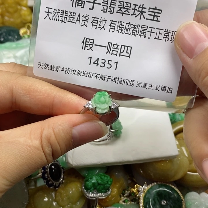 翡翠吊坠(赠链)未镶嵌甄*