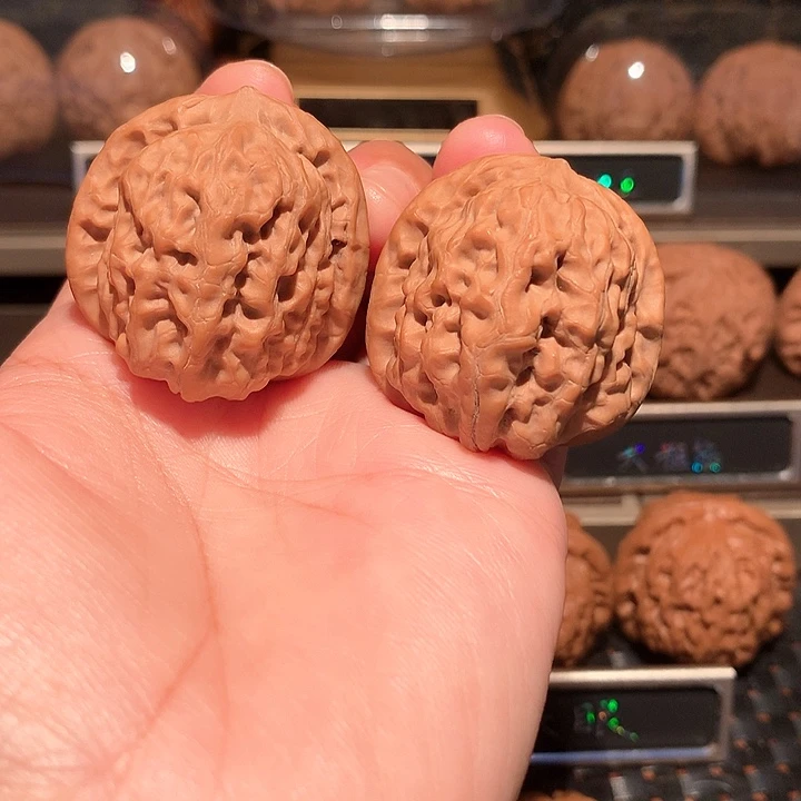 秋****文玩核桃把件霸王