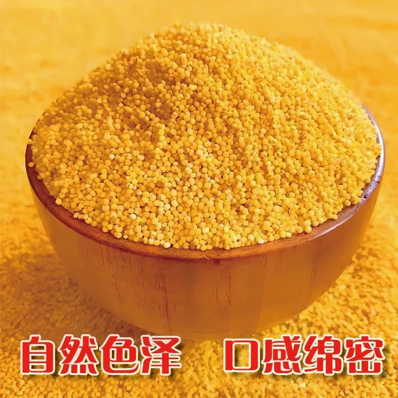 【1斤新黄小米】现磨山西黄小米农家自产五谷杂粮小米粥月子米