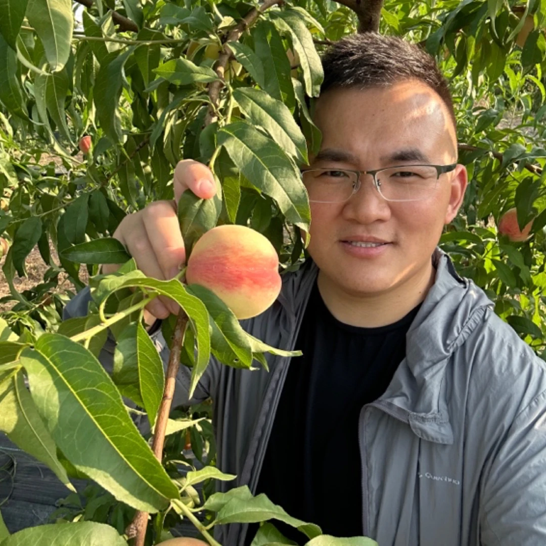 【顺丰】山东小果型水蜜桃 净重3-4.2斤 售后时间24小时内