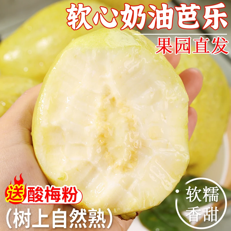 果园自发白心奶油芭乐新鲜当季水果软糯香甜番石榴维C低卡低热量