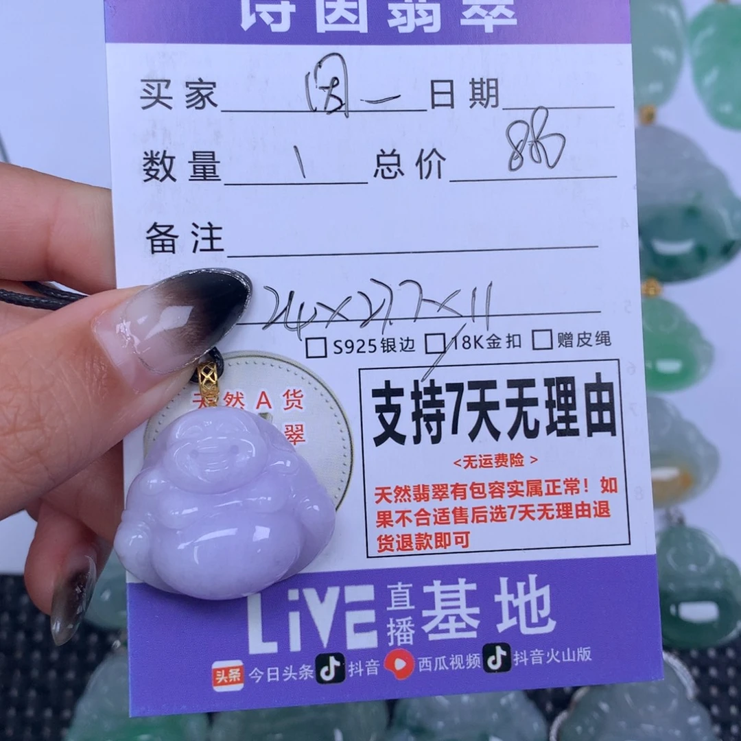 因***律翡翠未镶嵌颈饰天然