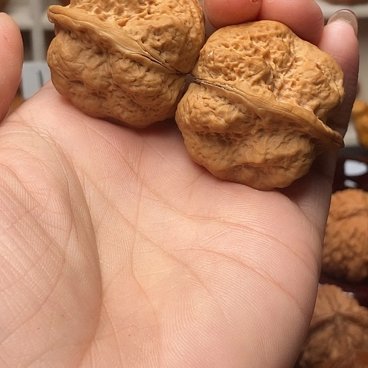 ****下吊坠文玩核桃金蝉舍利