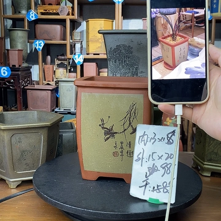 花盆紫砂阳光老师微瑕大漏价