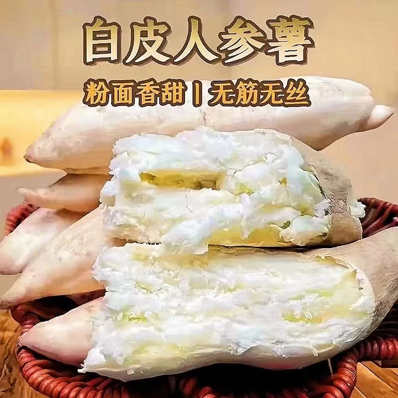 【产地直发】牛奶人参薯现挖现发白皮白心地瓜粉糯香甜当季板栗番薯