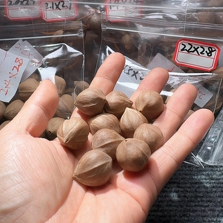 吊坠橄榄核W*.2.1❌2.5