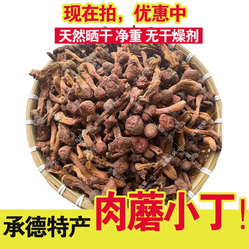 肉蘑承德特产肉蘑菇野生红蘑丁松树伞切片野生菌干货无干燥剂