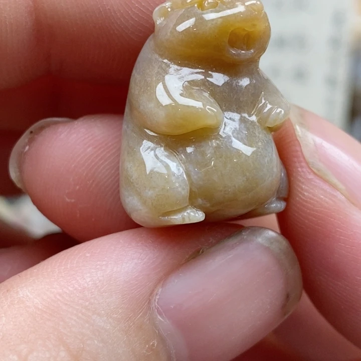 硅化珊瑚（珊瑚玉）未镶嵌颈饰小