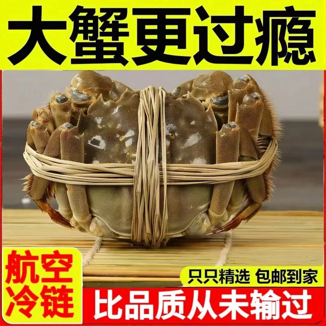 【活蟹】江苏精品大闸蟹全母净重2-4斤/3.0两左右 5-14只