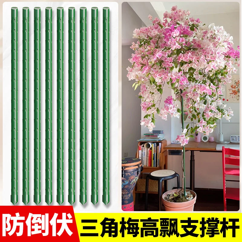 【苏塑】三角梅高飘支撑杆月季爬藤架子花架绿植物防倒伏花卉支撑架