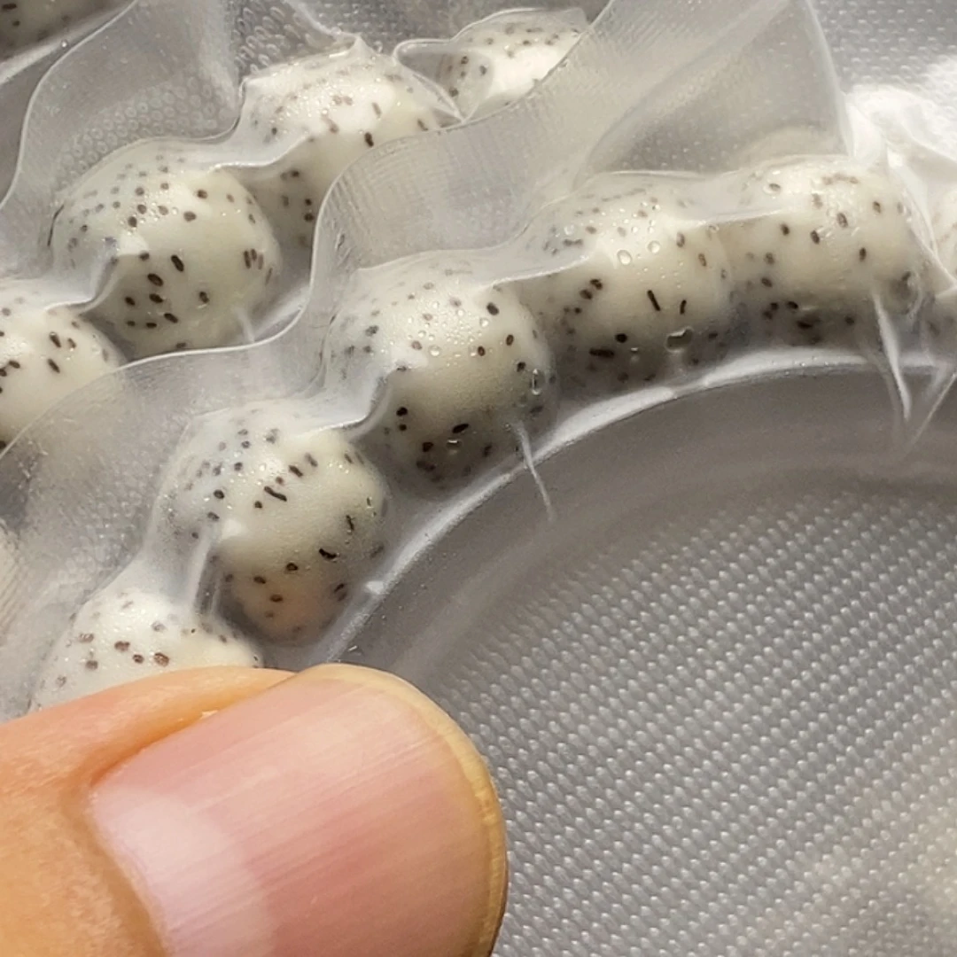 ***哥手串星月菩提原生态单圈5条