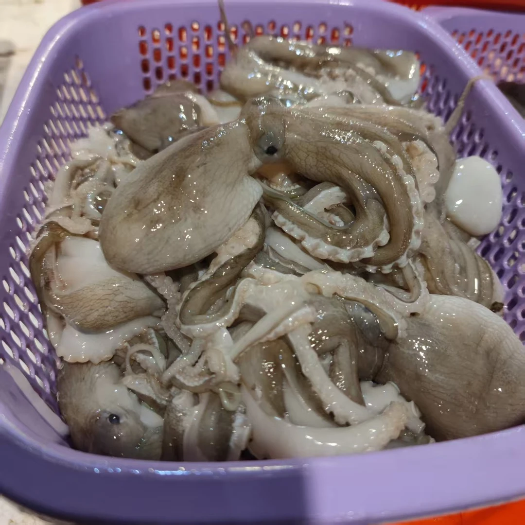 八爪鱼 3斤 （1斤3只左右）包邮