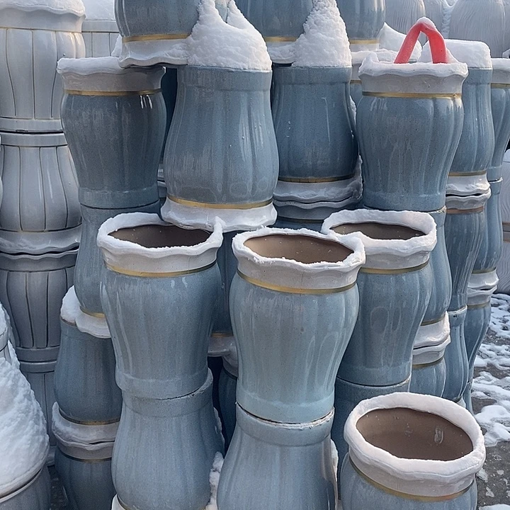 花口蓝南瓜中口25高32福利