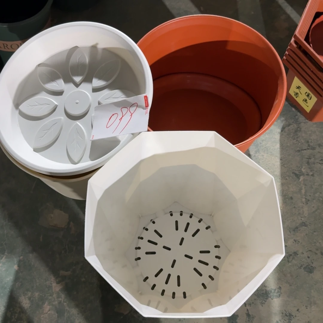 编号是099号的099号的