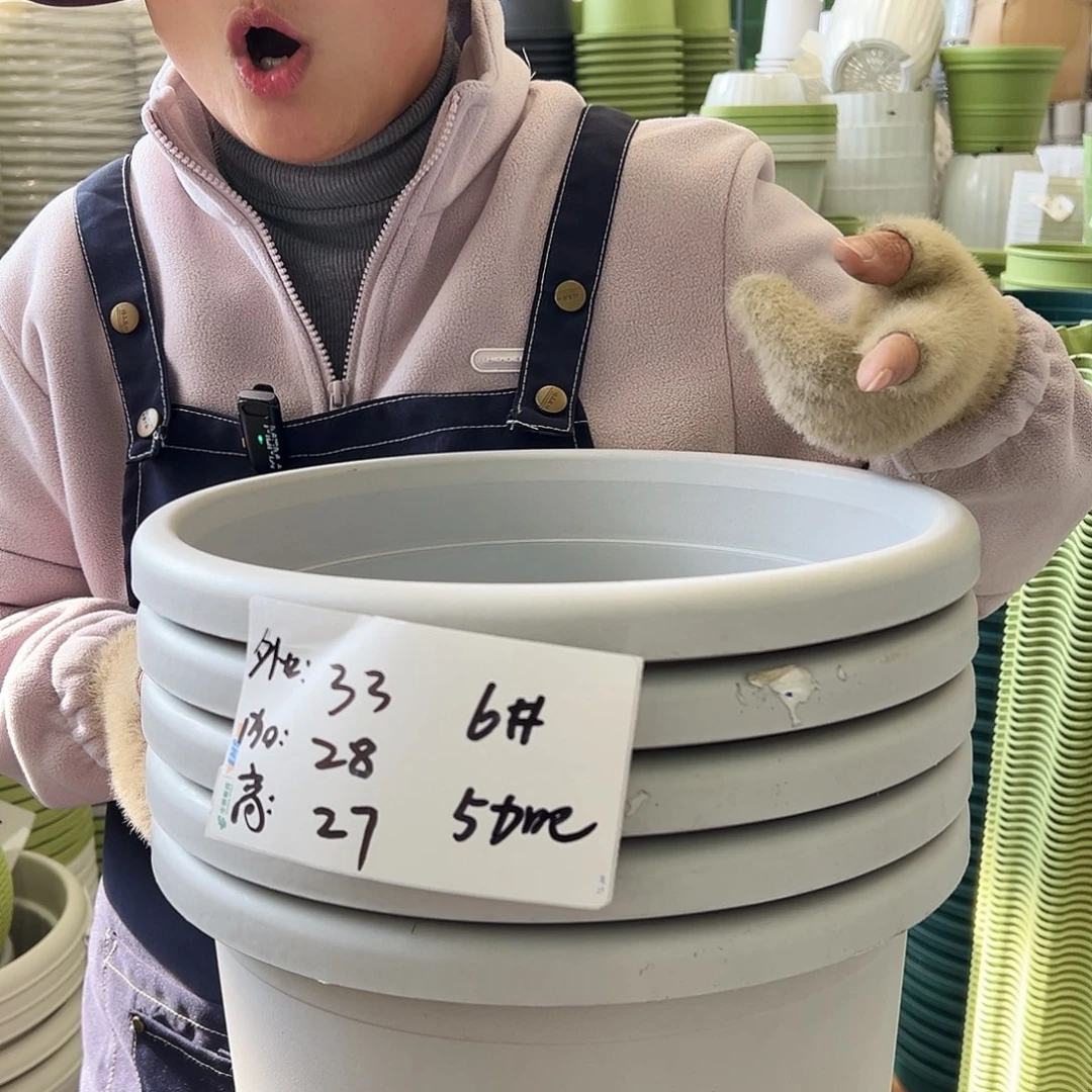 四季盆6#灰白色5个无托