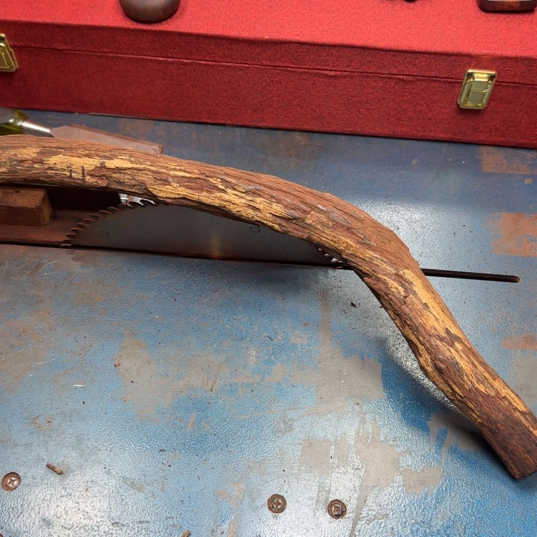 金***鼠降真香定老型珠1.7×1.8不退不换