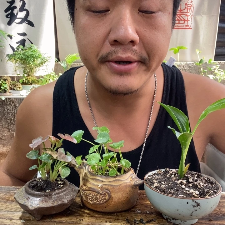 无花朵退款拉黑拉黑15