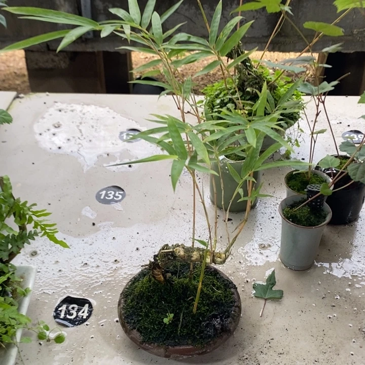 葡***粒无花朵退款拉黑拉黑71