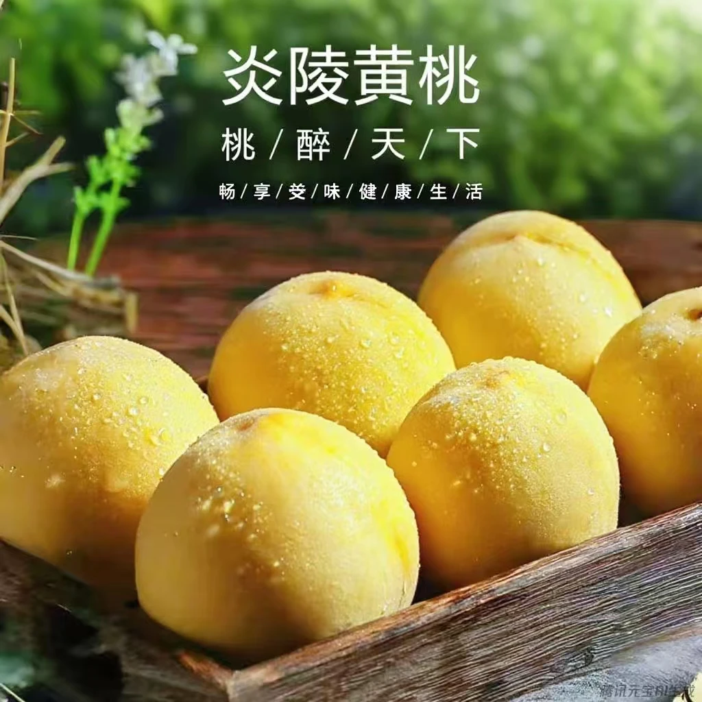 炎陵高山黄桃尝鲜装