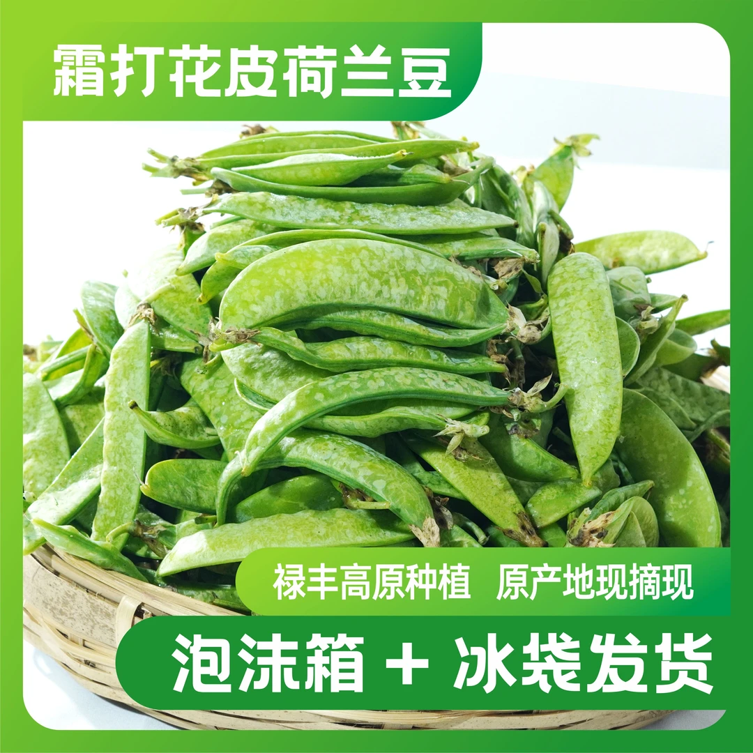 禄丰新鲜现摘霜打花皮荷兰豆露天种植产地直发甜脆爽口