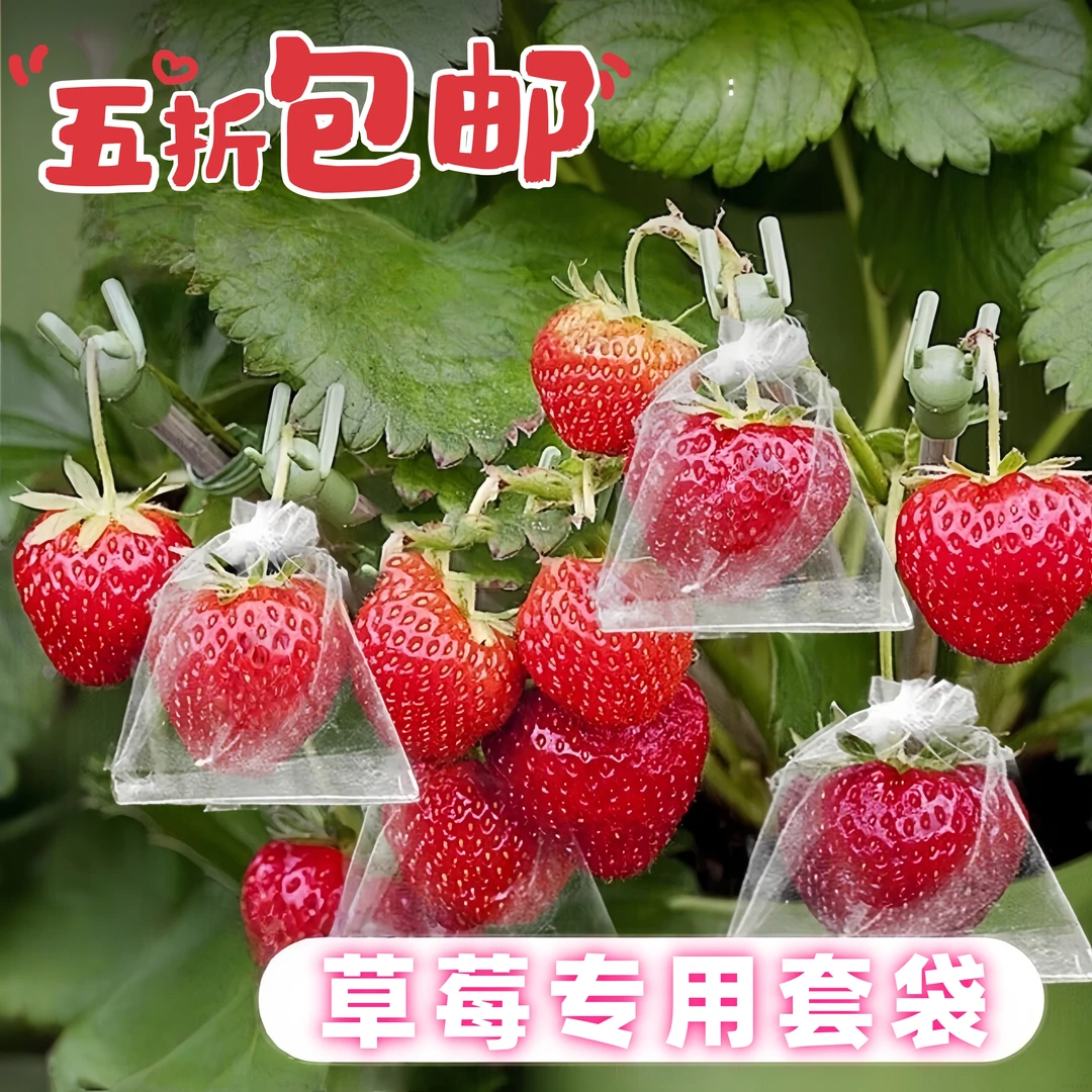 石榴套袋专用果袋番石榴柑橘桃子水果通用保护袋防阳光玫瑰包装袋