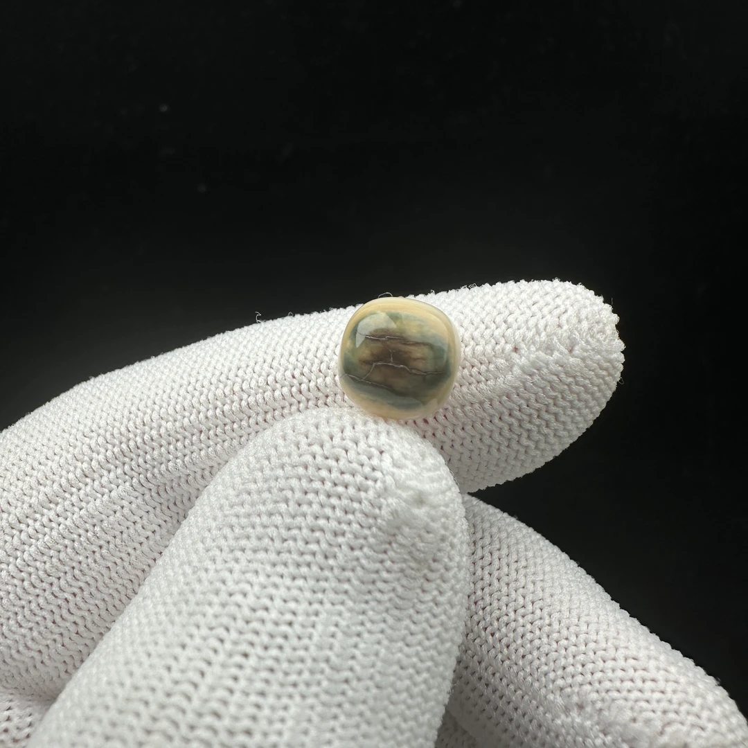 D8771天然猛犸牙 蓝眼睛桶珠9*8.7mm支持鉴定 假一罚四