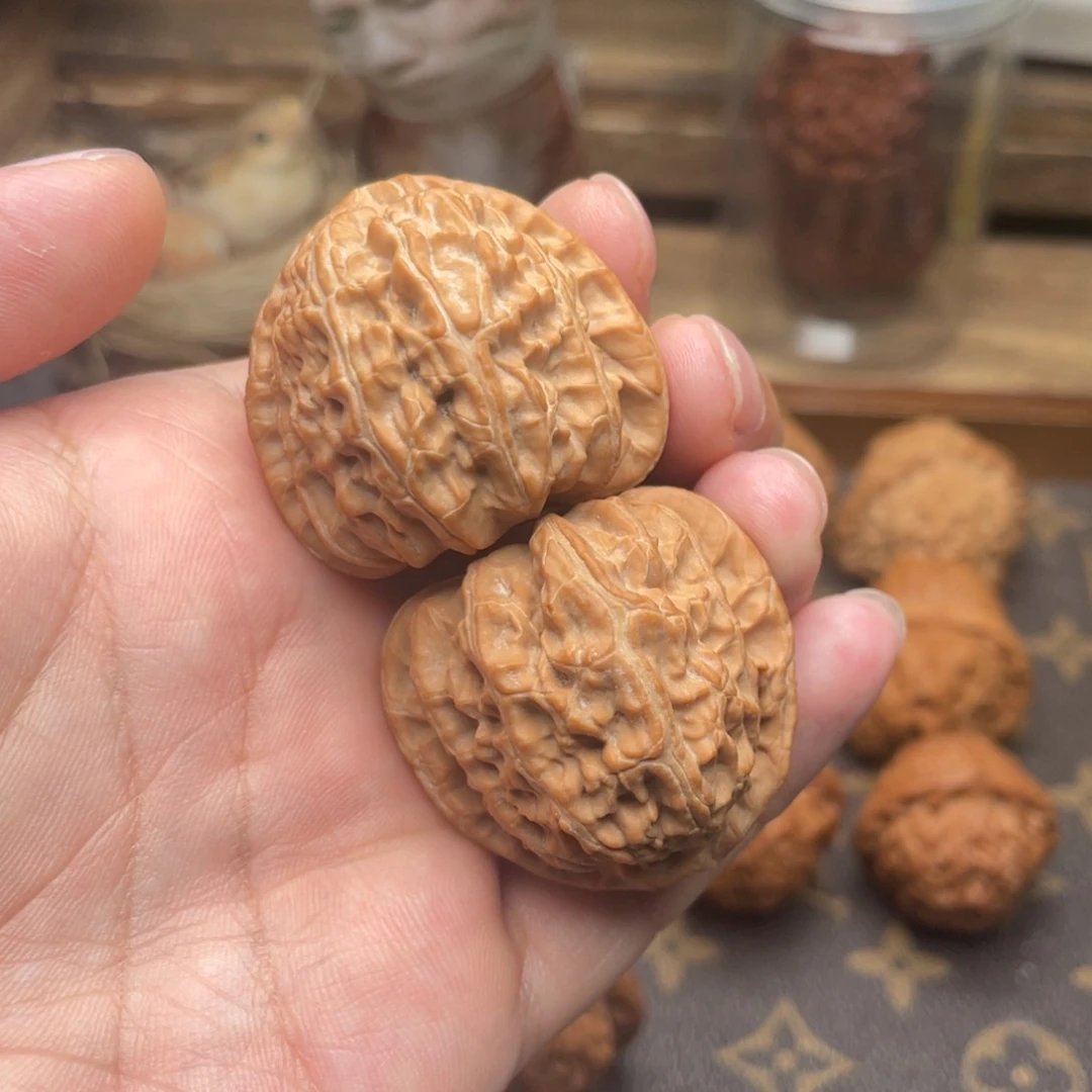 文玩核桃把件G8号37尺白狮子