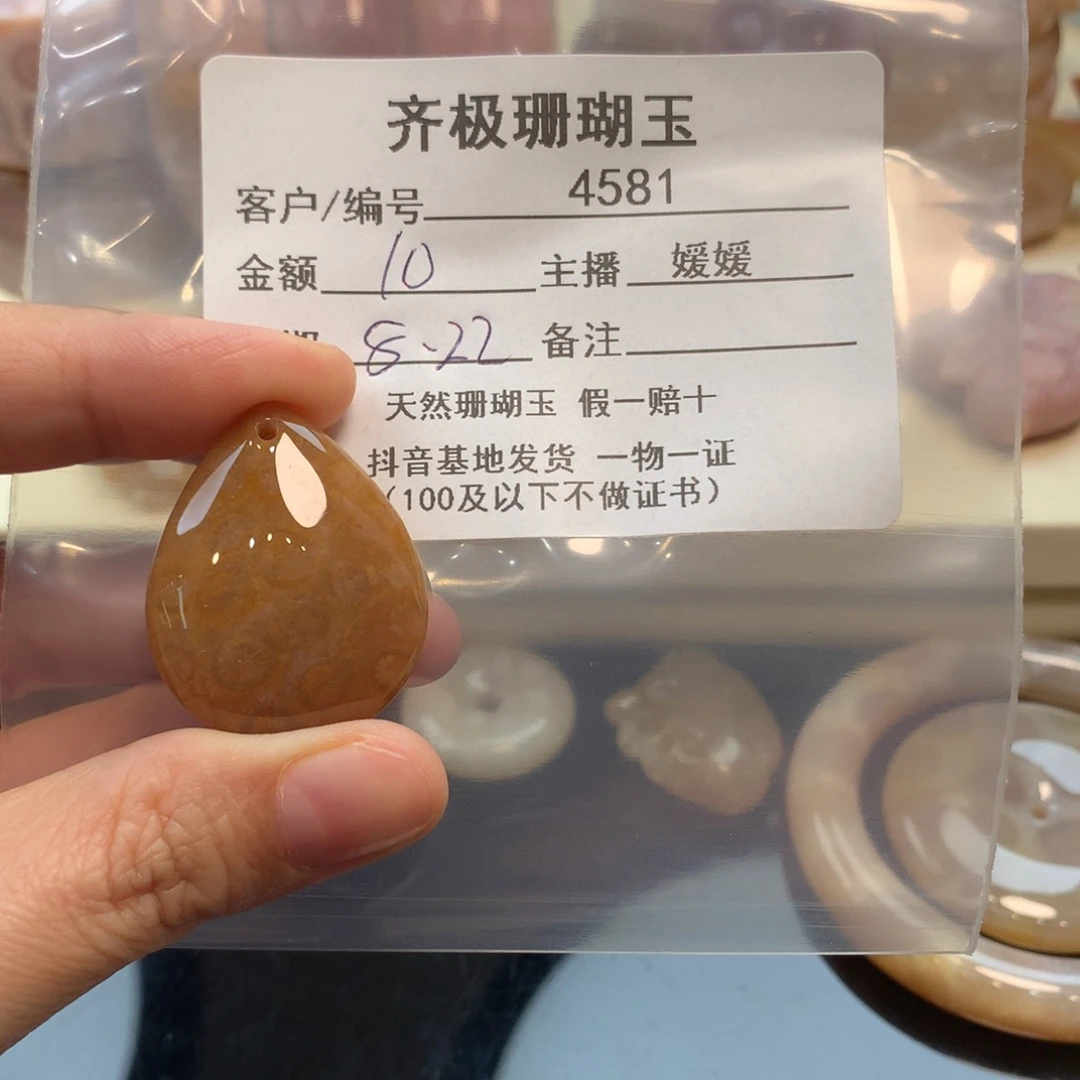 颈饰未镶嵌硅化珊瑚（珊瑚玉）沫*